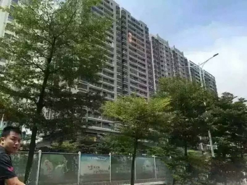 6棟大型社區(qū) 穗莞深長安金沙站200米，3280/㎡起！（售罄）